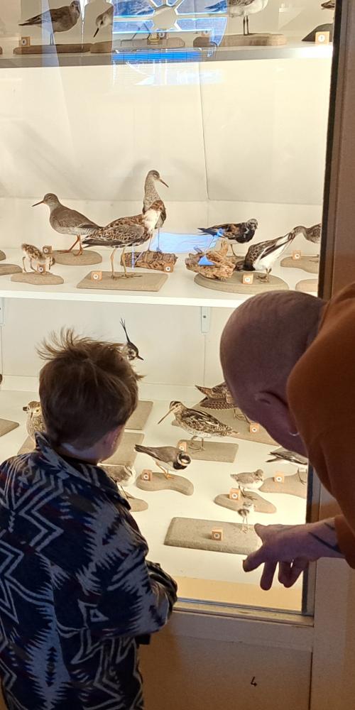 Kind en ouders krijgen uitleg van gids van Terra Maris over vogels