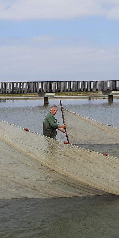 Zegenvissen Waterdunen