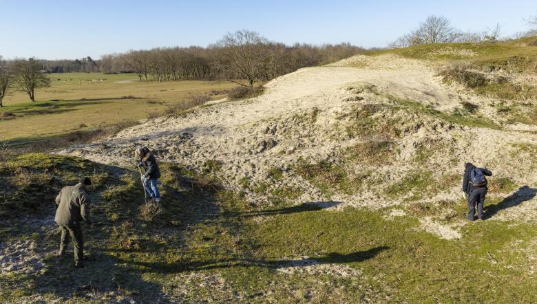 vogelkers oranjezon