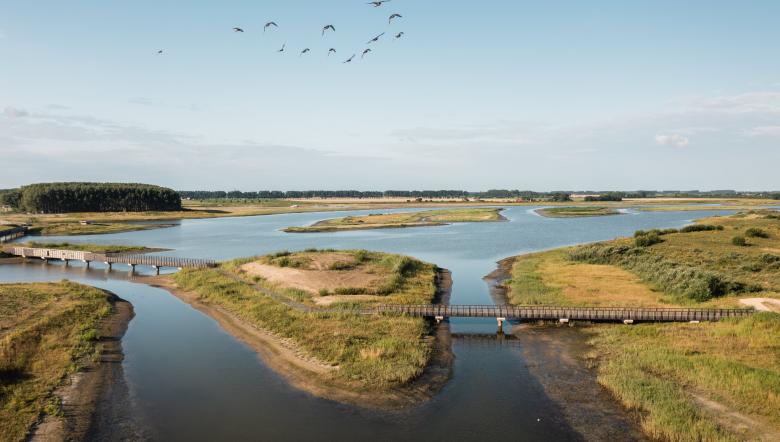 Eiland Waterdunen