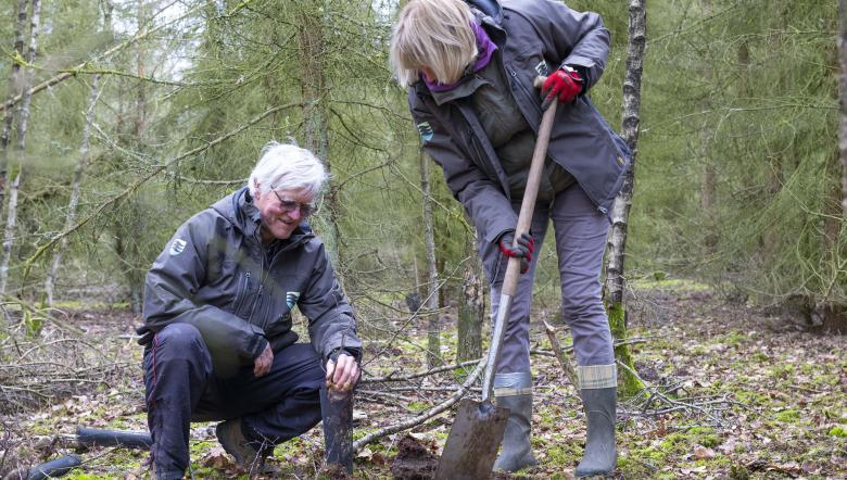 bosaanplant clinge vrijwilligers