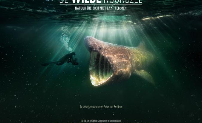 Flyer WIlde Noordzee