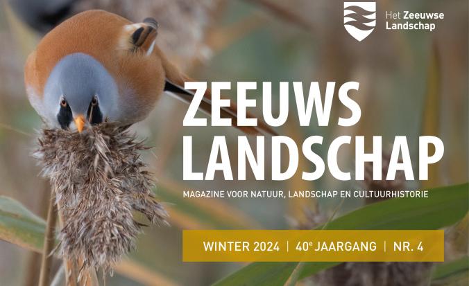 Banner Winternummer 2024