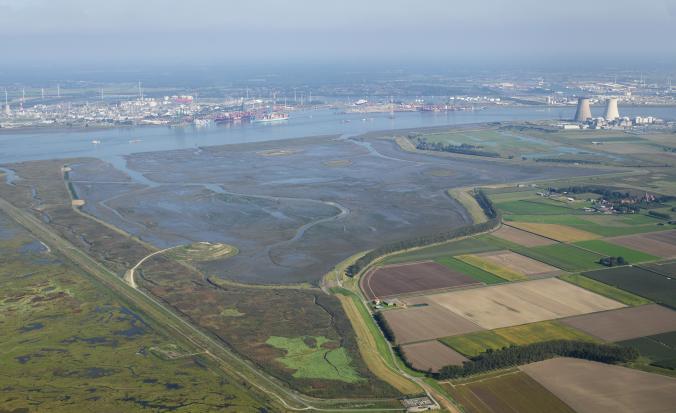 Luchtfoto van de Hedwigepolder