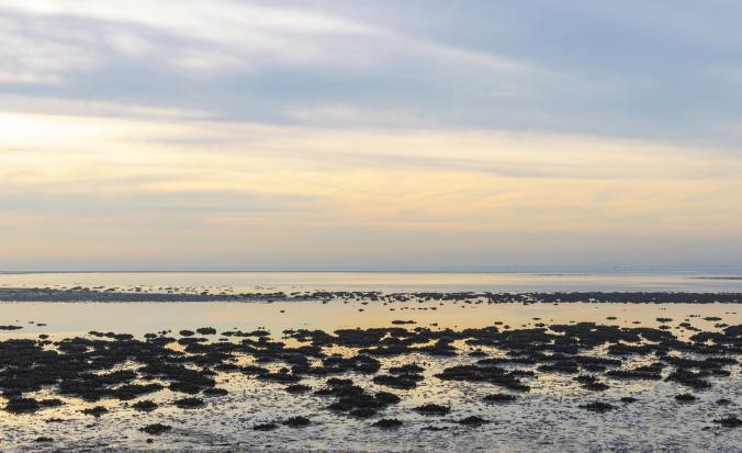 Nationaal Park Oosterschelde